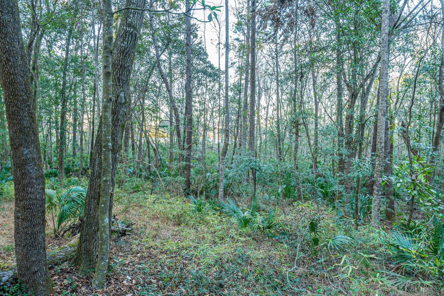 Natural landscape and outdoor views near in Dorchester (Image 41). Natural landscape and outdoor views near in Dorchester (Image 41).