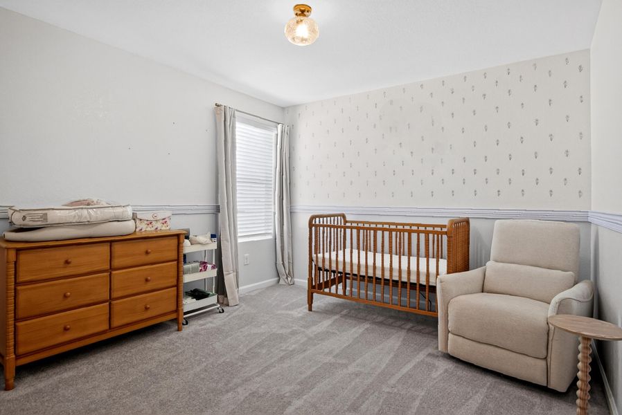 024_Photo Feb 21 2026, 2 01 15 PM copy