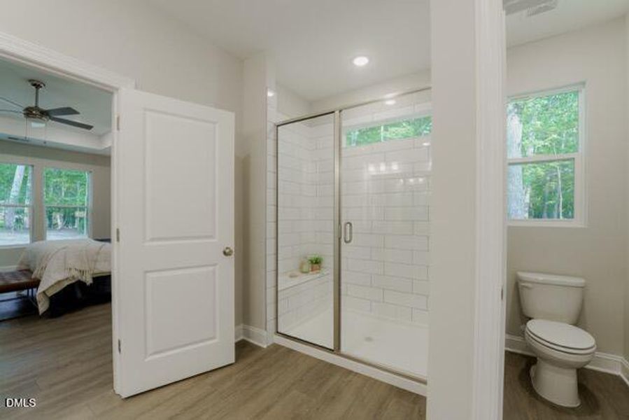 VariformRd web (25) Medium