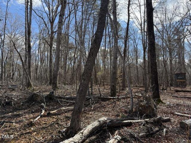 IMG_3235 Medium IMG_3235 Medium