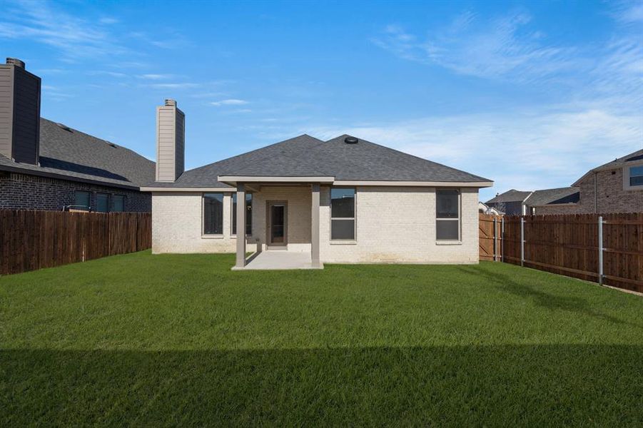 478 Red Maple- Back-2