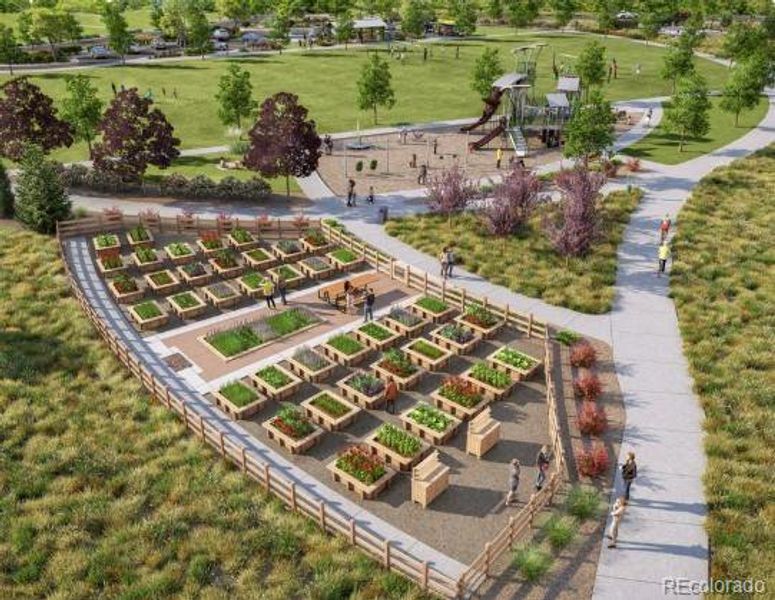 Parterre Community Renderings