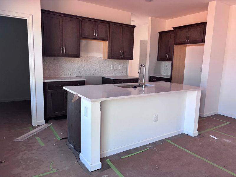 In-progress construction of a new home in Middleton Farms, Middlesex, NC (Image 19).