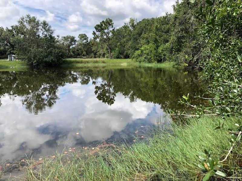 Natural landscape and outdoor views near  in Arcadia (Image 26).