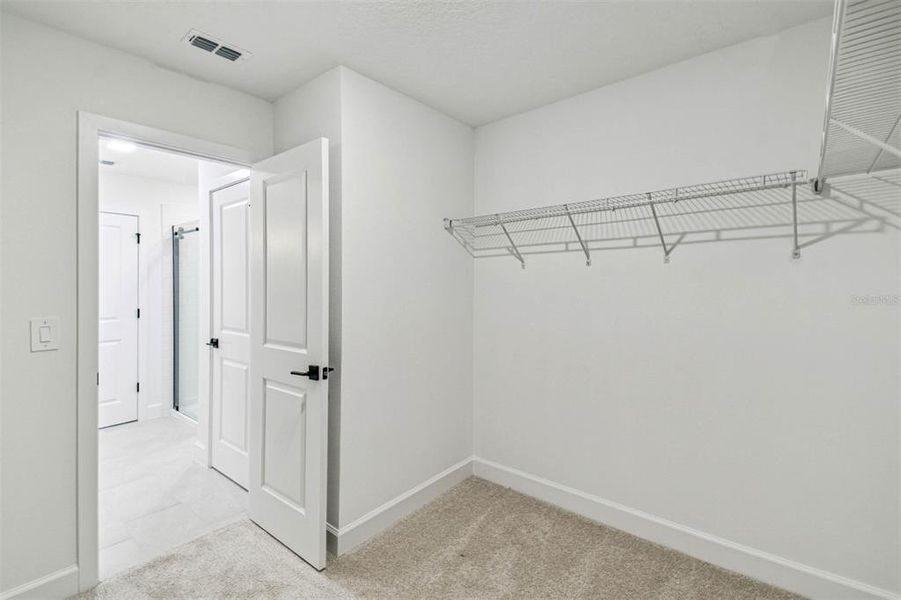 Spacious, unfurnished interior of a new home in Aspire at Canter Creek, Davenport (Image 26).