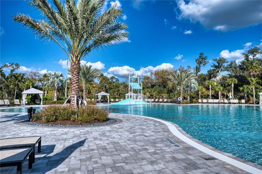 Community amenities in , Sarasota (Image 40). Community amenities in , Sarasota (Image 40).