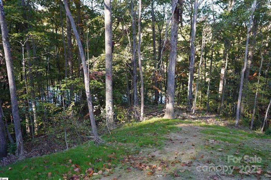 Natural landscape and outdoor views near  in Travelers Rest (Image 5).