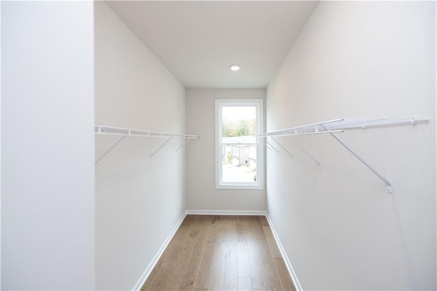 Spacious closet featuring wood-type flooring