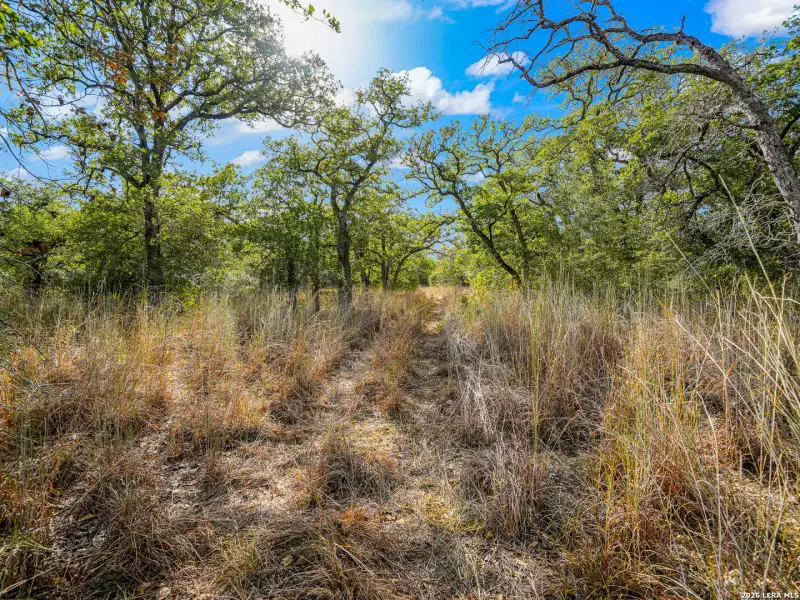Natural landscape and outdoor views near  in Seguin (Image 33).