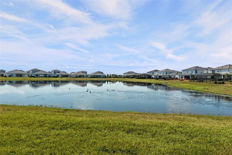 Natural landscape and outdoor views near  in Bradenton (Image 72).
