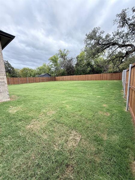 View of fenced backyard
