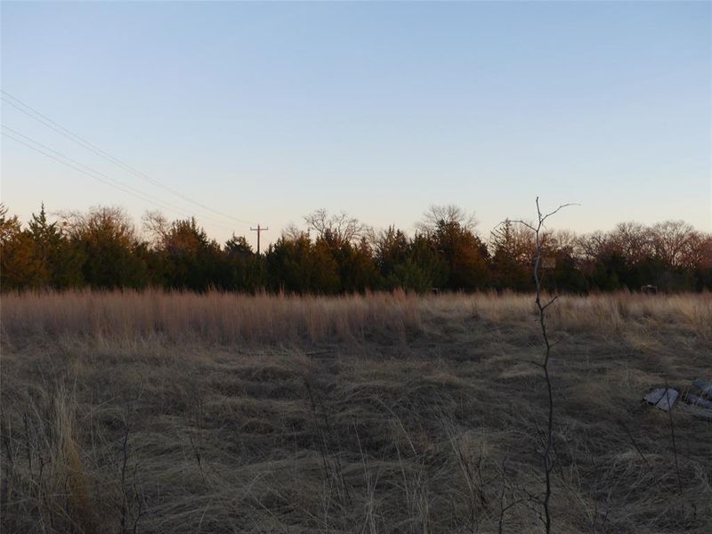 Natural landscape and outdoor views near  in Forestburg (Image 17).