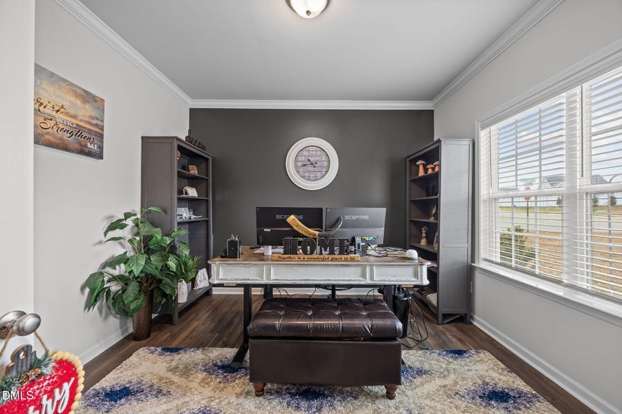 14-web-or-mls-IMG_2942 14-web-or-mls-IMG_2942