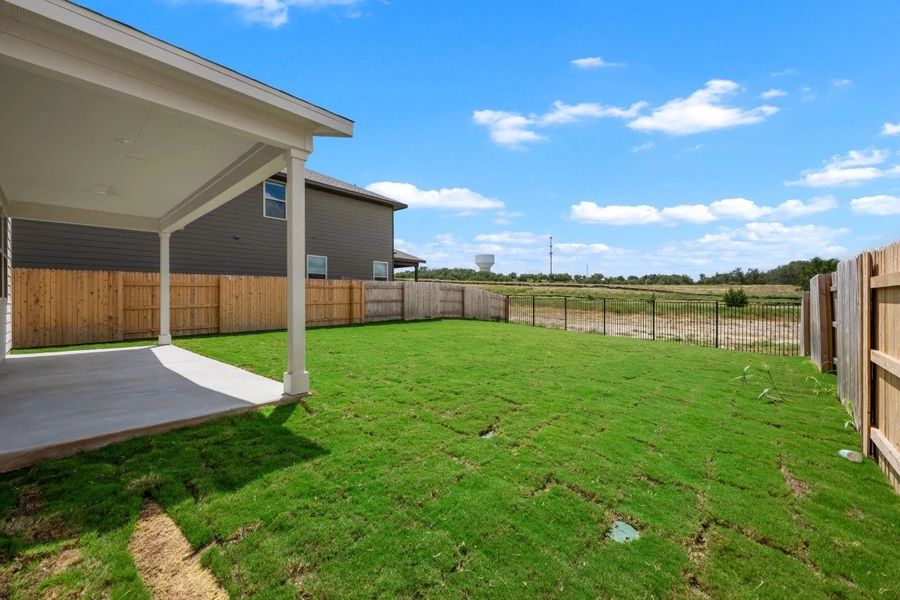 Backyard