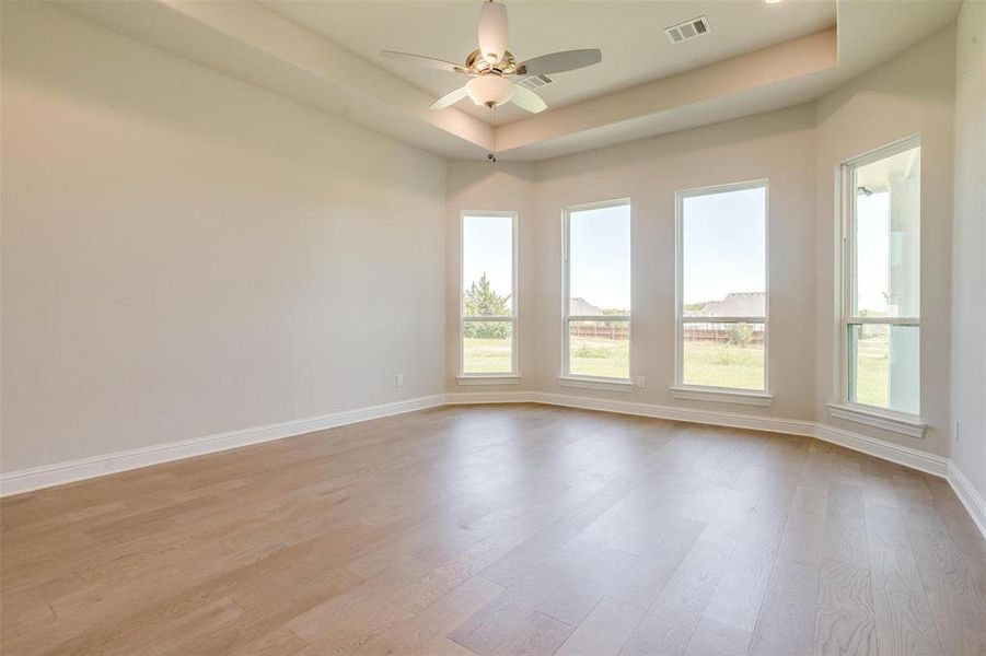 Empty room featuring light wood-type flooring, a raised ceiling, and plenty of natural light