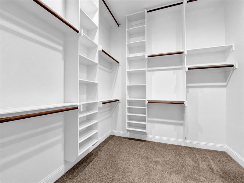 Walk in closet featuring carpet