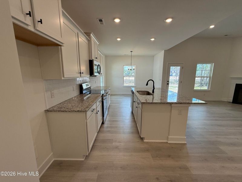 Furnished interior view inside a new home in East Lake, Leland (Image 8).