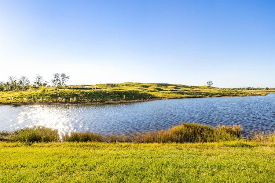 Natural landscape and outdoor views near  in Palm Beach Gardens (Image 36).
