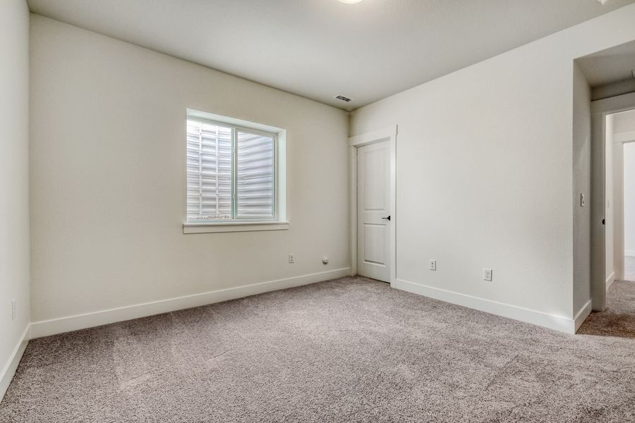 8327 David - Basement