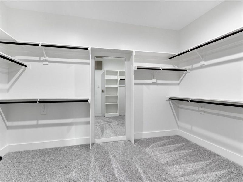Walk-in closet featuring light gray carpet flooring, white walls, multiple built-in shelving units, and black clothing rods