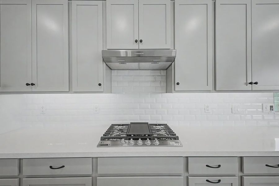 Close-up of interior finishes inside a home in Forté at Granite Vista, Waddell (Image 15).