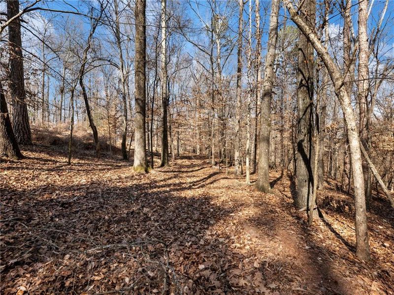 Natural landscape and outdoor views near  in Winder (Image 52).