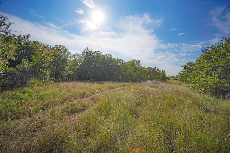 Natural landscape and outdoor views near in Perrin (Image 29). Natural landscape and outdoor views near in Perrin (Image 29).