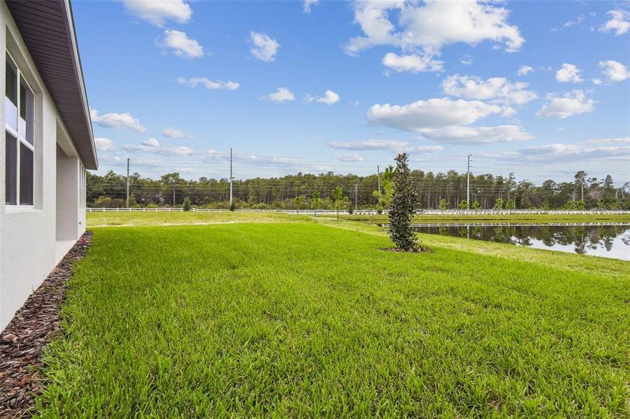Front exterior of a new home in Hidden Ridge, New Port Richey, FL, highlighting curb appeal (Image 26). Front exterior of a new home in Hidden Ridge, New Port Richey, FL, highlighting curb appeal (Image 26).