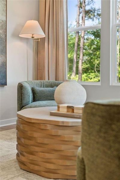 Close-up of interior finishes inside a home in Windsong Estates, McDonough (Image 31).