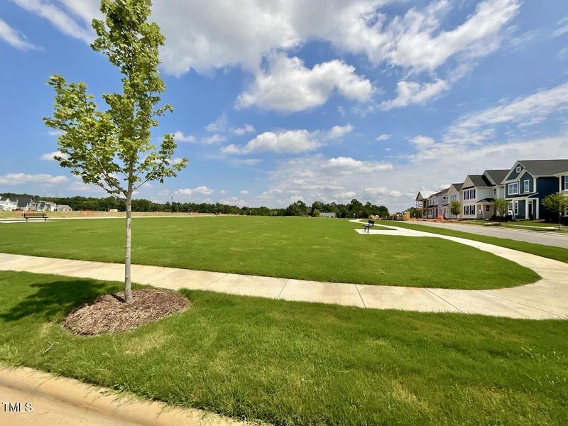 IMG_1109 Large IMG_1109 Large