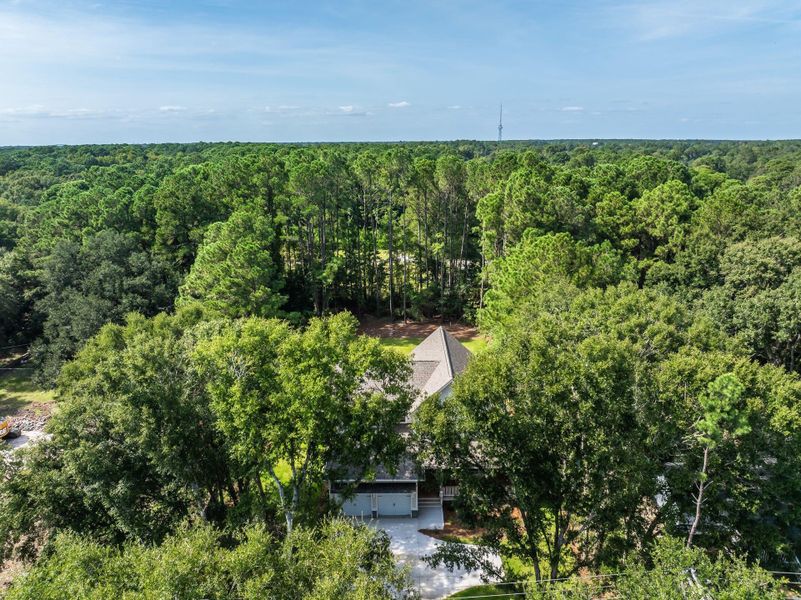 Natural landscape and outdoor views near  in Mount Pleasant (Image 115).