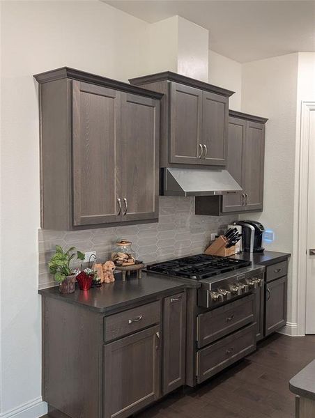 Kitchen featuring stainless steel gas stovetop, dark wood-type flooring, and tasteful backsplash