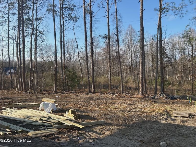Natural landscape and outdoor views near Harvest Creek in Nashville (Image 38). Natural landscape and outdoor views near Harvest Creek in Nashville (Image 38).