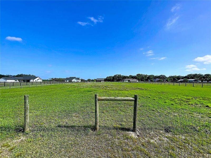 Natural landscape and outdoor views near  in Plant City (Image 34).