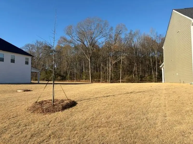Exterior details and patio area of a home in Jackson Landing, Jefferson (Image 3).