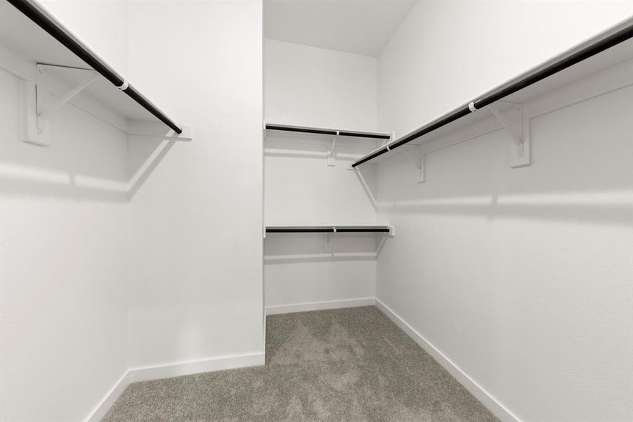 24. 2411 Daisy - Closet