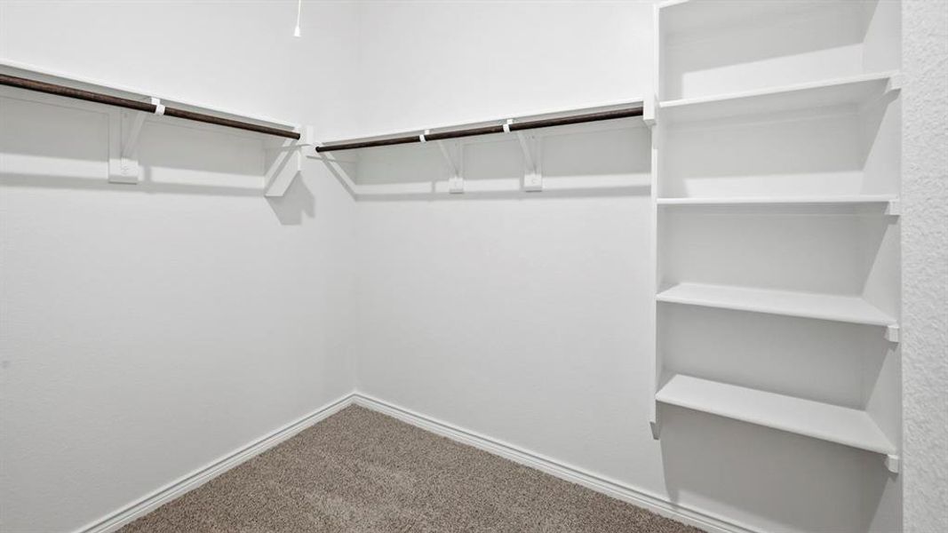 Walk-in closet featuring built-in shelving, two clothing rods, white walls, and neutral carpet