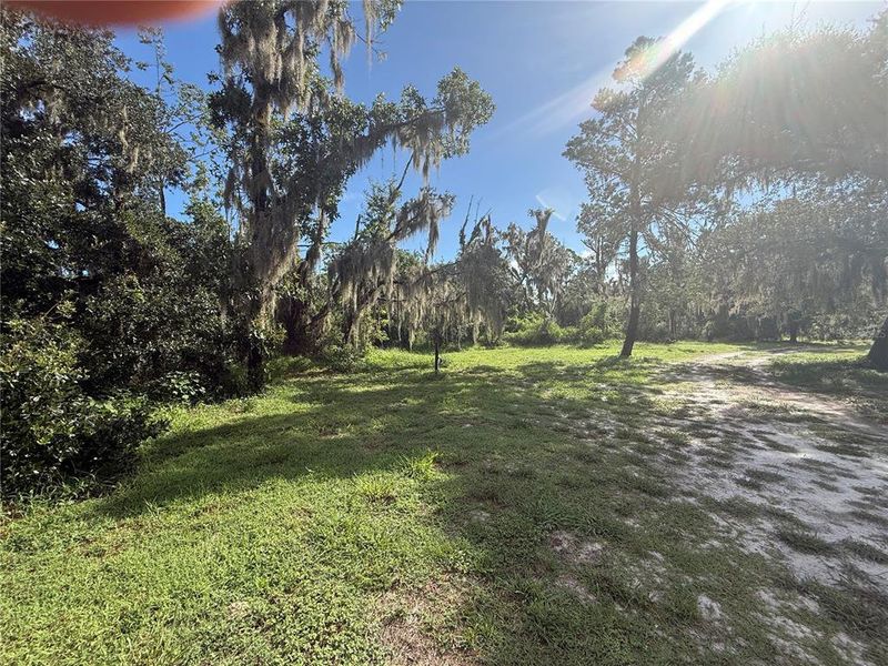 Natural landscape and outdoor views near  in Parrish (Image 25).