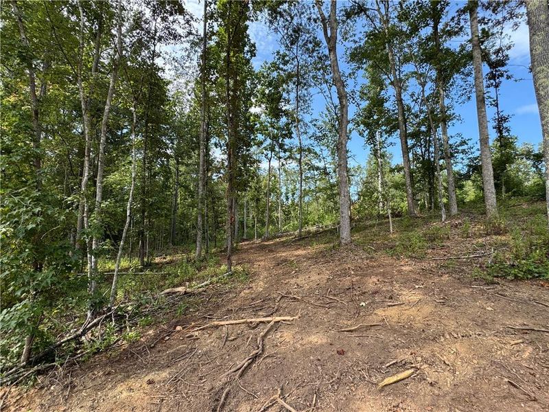 Natural landscape and outdoor views near in Buchanan (Image 43). Natural landscape and outdoor views near in Buchanan (Image 43).