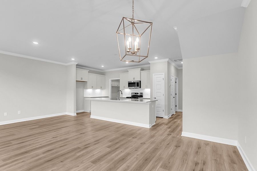 Spacious, unfurnished interior of a new home in Pineland Preserve, Summerville (Image 22).