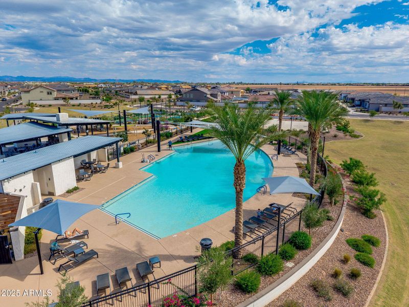 Community Area Community Area