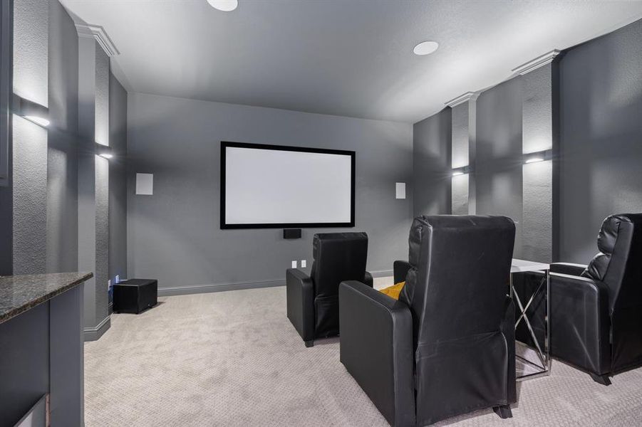 Cinema room featuring light colored carpet