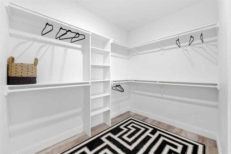 Walk in closet featuring hardwood / wood-style flooring