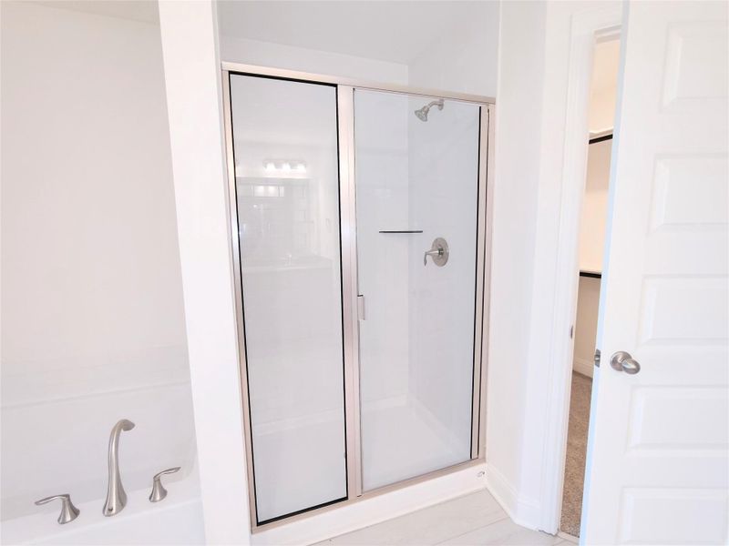 Spacious Separate primary Shower Spacious Separate primary Shower