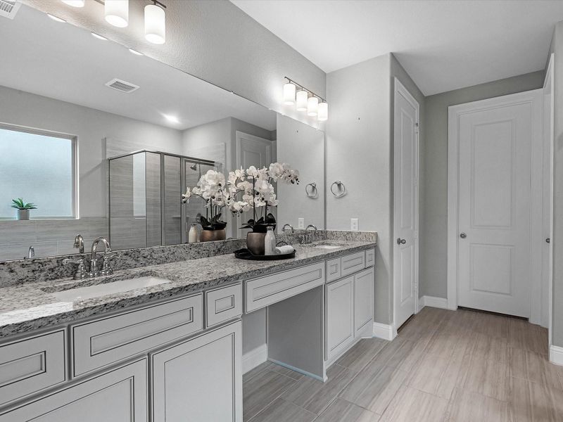 Primary Bathroom, double sinks Primary Bathroom, double sinks