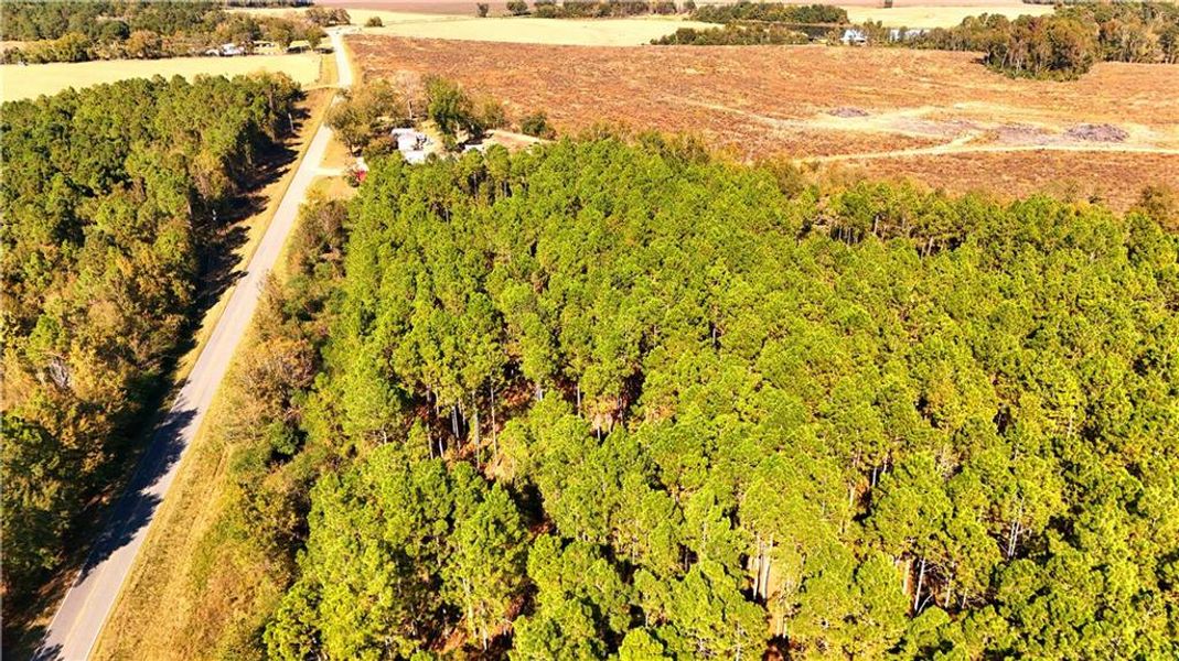Natural landscape and outdoor views near  in Chester (Image 10).