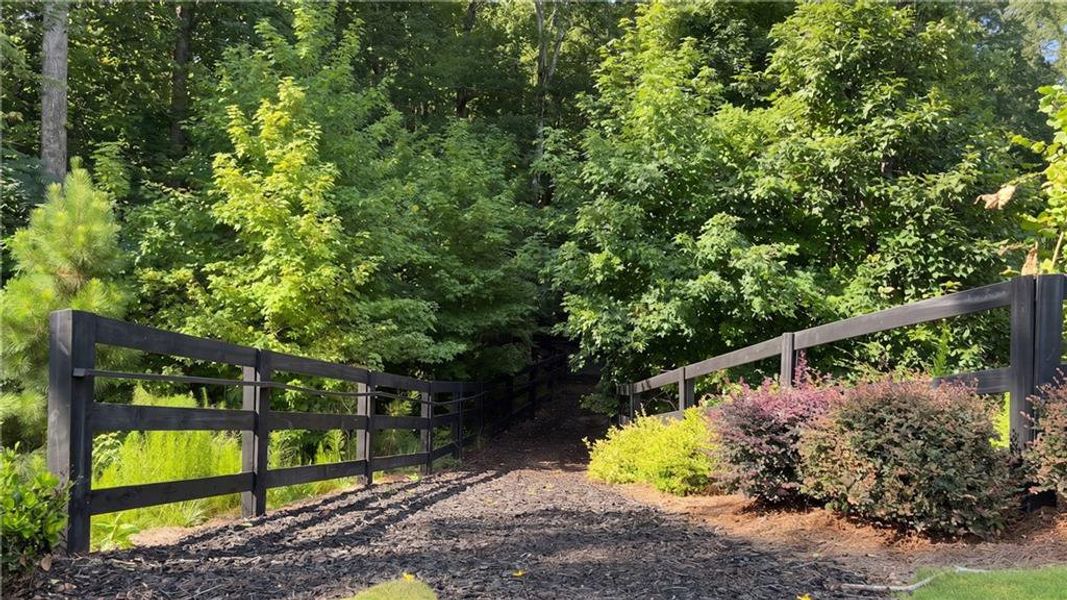 Natural landscape and outdoor views near Lakecrest in Buford (Image 32).