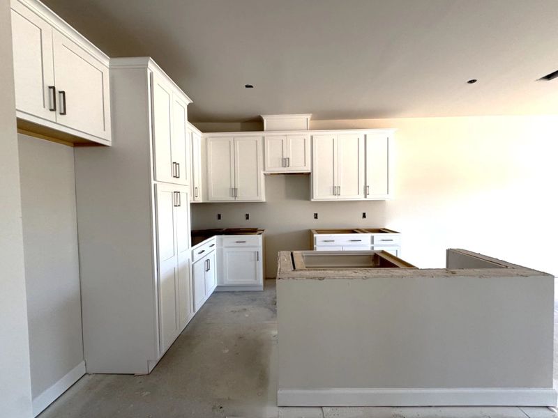 In-progress construction of a new home in Tea Farm, Ravenel, SC (Image 8).