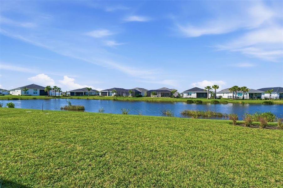 Natural landscape and outdoor views near  in Punta Gorda (Image 31).