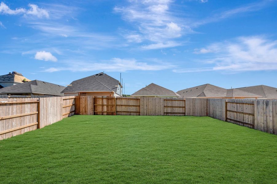 Backyard